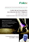 Programa Jornada Científica de Pie y Tobillo Palex 2018